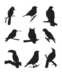 Naklejka premium Birds on branch silhouette set