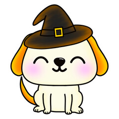 Cute little dog with a wizard hat