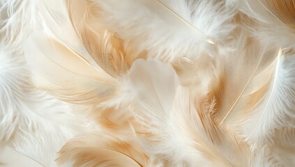 A close-up shot of soft, delicate feathers in shades of beige and white, creating a beautiful textured background.