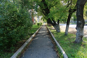 footpath in the park