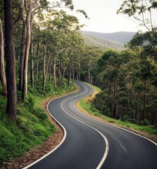 Fototapeta premium A road that goes up and down surrounded by green vegetation. The trees on both sides of it have white stripes, which make them look like ribbons