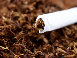 close-up a cigarette on a pile of tobacco