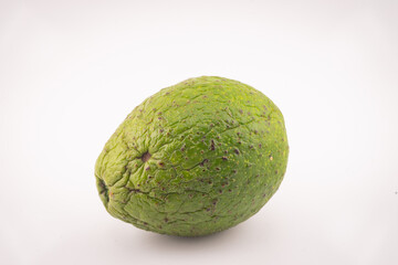 Avocado on white background 