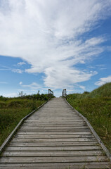 Steg zum Strand in Trönninge - Schweden