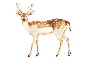 Obraz premium Realistic deer silhouette drawing isolated against a white background
