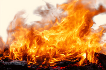 Fototapeta premium Fire isolated on white background