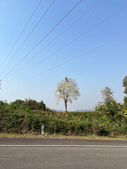 road in the countryside