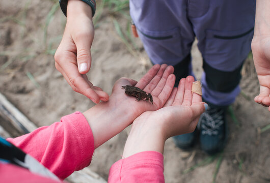 kids holding a from whilst at the beach in Sweden