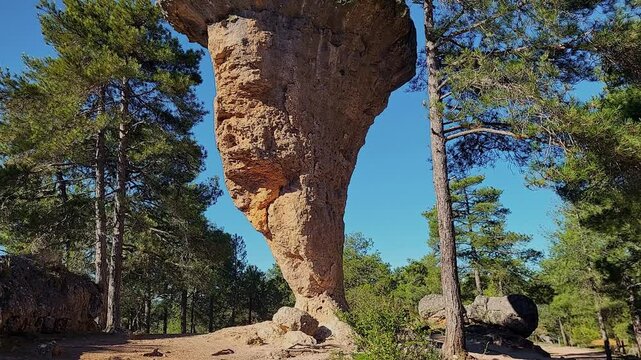 Vertical rock formation in the shape of a tree next to a forest. Enchanted City of Cuenca. Spain.