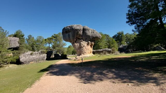 Stone tree. Erosion process in rocks. Geology. Karst modeling process. Rocks with strange shapes. Enchanted City of Cuenca. Spain.
