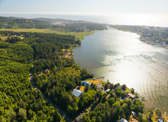 A view of a forest with a house and a dock in the water. The house is on the left side of the image and the dock is on the right side. The water is green and the trees are lush and green