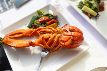 Family with children, having lunch in a restaurant in Coppenhagen, eating local fish and lobster thermidor with salad and fries