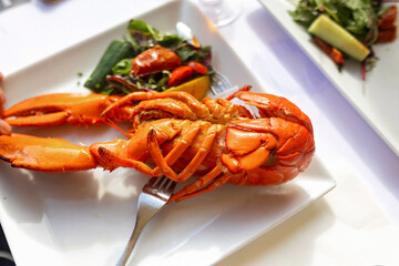 Family with children, having lunch in a restaurant in Coppenhagen, eating local fish and lobster thermidor with salad and fries