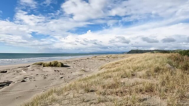 Port Ohope Recreation Reserve : A long Stretch of White Sandy Beach in North Island, New Zealand