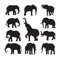 Elegant Elephant silhouette collection Designs