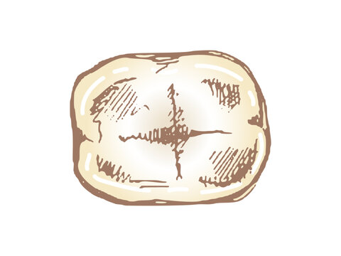 recommend clip art: Highly detailed hand drawn human tooth  with roots. Hand drawn sketch. Molar top view illustration isolated on white background.