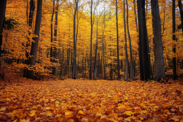 A vibrant autumn landscape with a carpet of fallen leaves in a forest clearing, surrounded by towering trees dressed in rich shades of yellow and orange