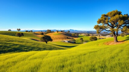A serene, rolling hillside landscape in Montecito, California, features lush green grass, scattered oak trees, and a