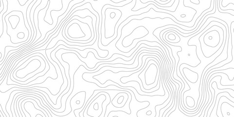 Abstract white and grey topography pattern. geographic relief lines. Seamless pattern