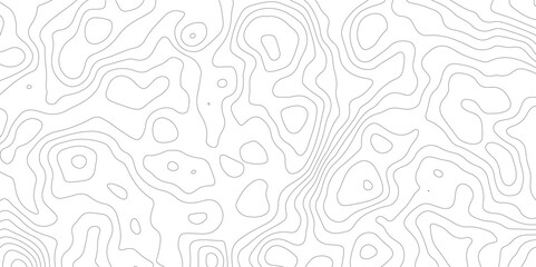 Abstract white and grey topography pattern. geographic relief lines. Seamless pattern