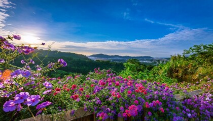 Obraz premium colorful flowers and beautiful scenery in the background. landscape