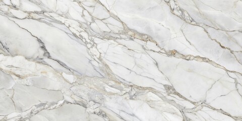 Obraz premium Natural elegant white marble with subtle grey veining patterns, showcasing a sophisticated and luxurious texture, perfect for background or design element usage.