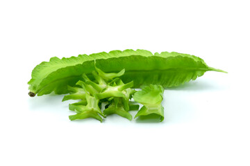 Fresh winged beans or four angle beans or green winged whole and heap of cross section isolated on white background stack closed up.