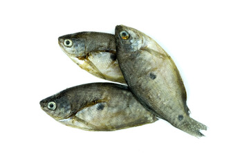 Three pieces of dried fermented fishes isolated on white background top view flat lay