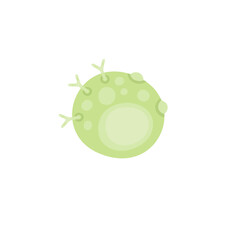 Mast Cell Illustration