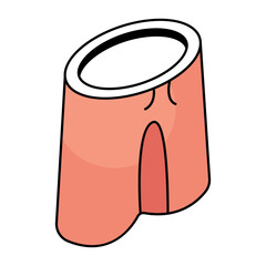 Premium design icon of shorts 