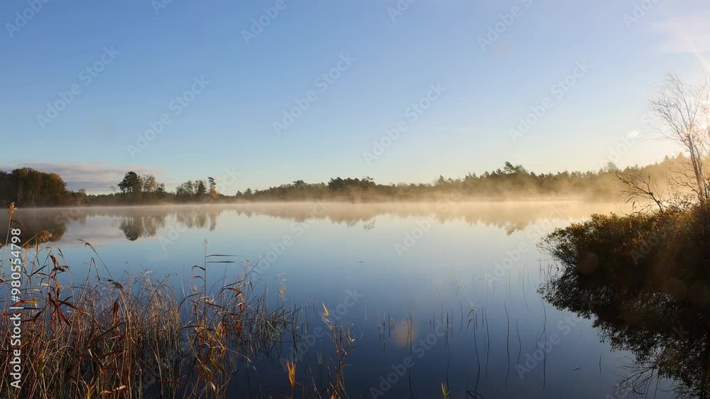 Canvas Prints Morning light at a lake with mist in a forest landscape