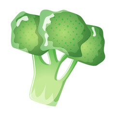 Green fresh broccoli vegetable isolated on white background. Healthy organic food concept . Calabrese broccoli icon. Vector illustration of vegetables in flat style.