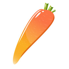 Carrot bright orange vegetable. vector illustration isolated on white background. Cute style illustration. clear carrot .