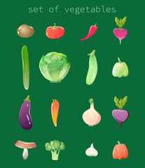 Big collection of vegetables. Set of fresh delicious vegetarian products, exotic cooking ingredients, healthy food. Bundle flat isolated vector illustrations.
