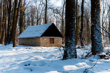 winter forest landscape haunted house building in the woods of January snowy frost wilderness country side environment space