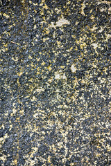 Texture and porosity patterns of natural old stone surfaces