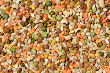 A surface covered with dry, uncooked grains and legumes - beans, red lentils, green lentils, brown lentils, barley, mung beans and peas