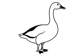 goose isolated on white background