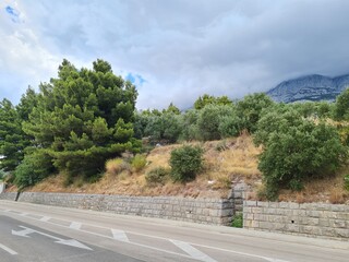 landscape with trees and clouds. view from the hill. pine tree in the forest. road in the mountains