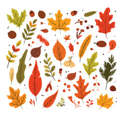 Floral Autumn Leaves Decoration