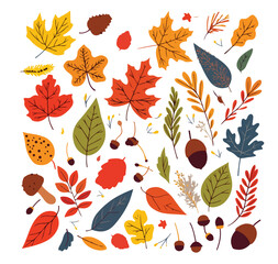 Floral Autumn Leaves Decoration