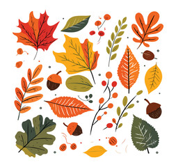 Fototapeta premium Floral Autumn Leaves Decoration