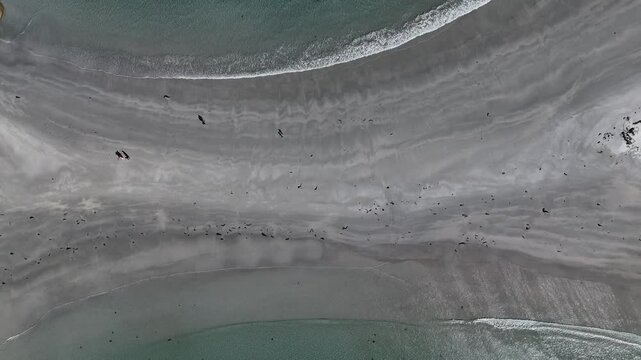 Unique Diamond Island Bicheno Connected To Beach By Path Of Sand, Tasmania, Australia