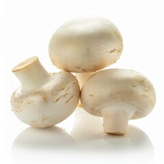 Mushrooms Champignon isolated on white background. ai generated
