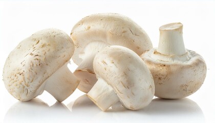 Mushrooms Champignon isolated on white background. ai generated