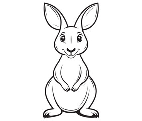  Cartoon kangaroo illustration vector