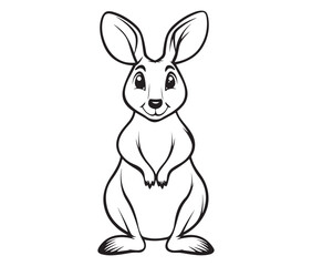  Cartoon kangaroo illustration vector