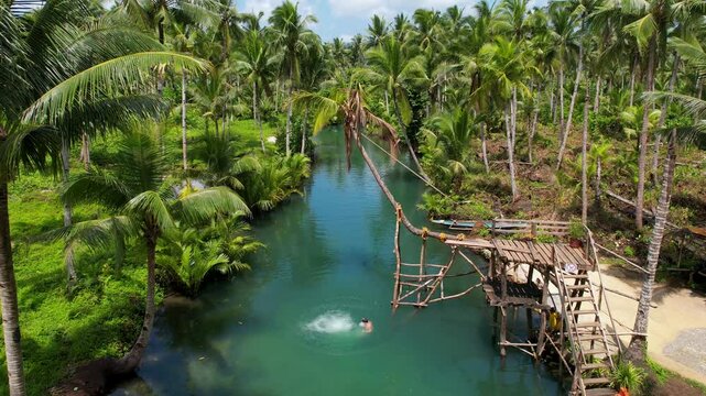 4K drone video of a man jumping from the high jump at Maasin River on Siargao island in the Philippines. This is a popular tourist destination and a river surrounded by luscious tropical nature.