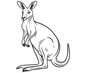  Cartoon kangaroo illustration vector