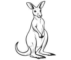 Obraz premium Cartoon kangaroo illustration vector